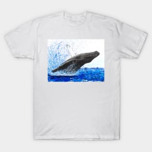 Moreton Whale Dance T-Shirt